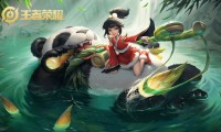 乒乓球明星表现亮眼，乒乓球明星名字
